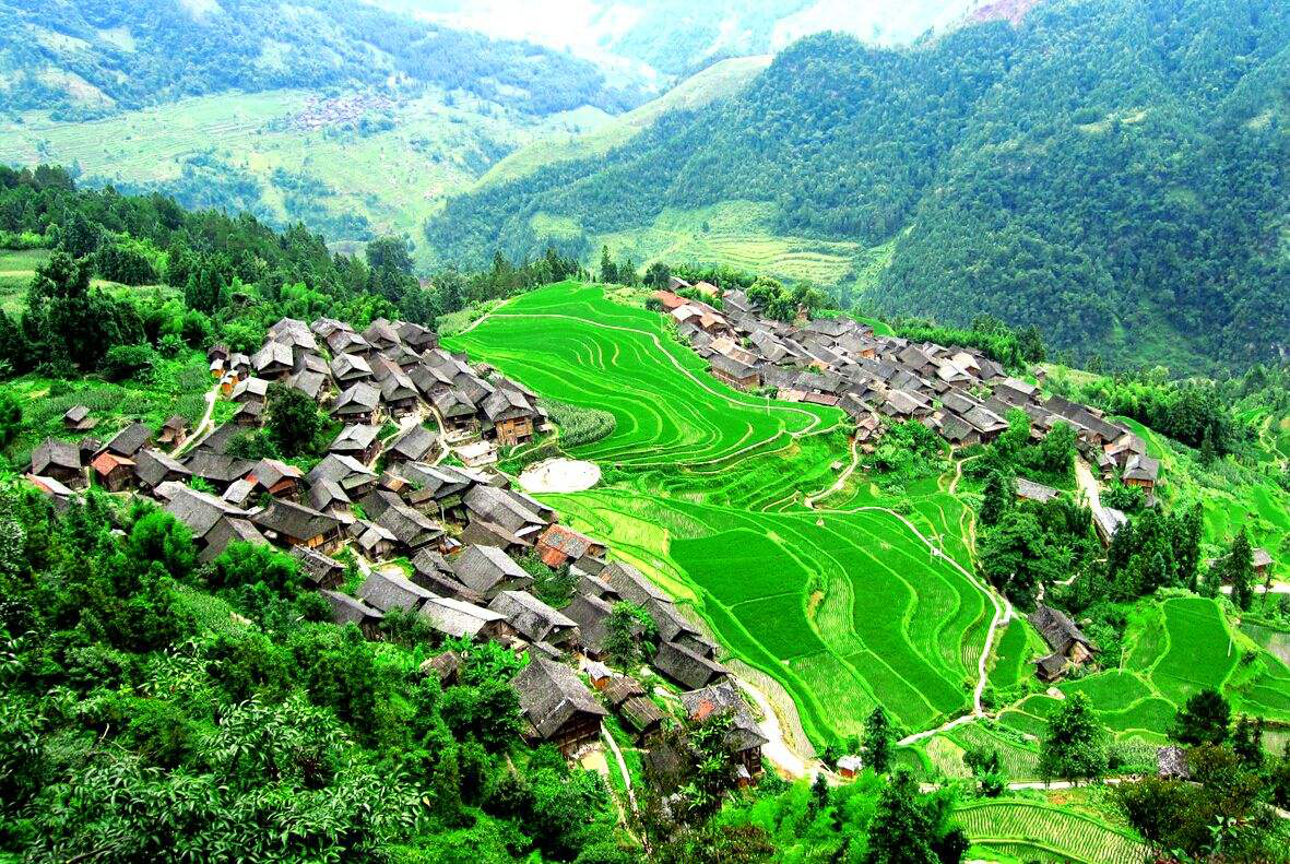 黑河疫情最新动态与大自然探索之旅的双重关注