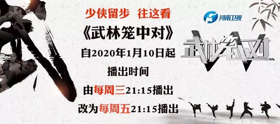 笼中对最新一期直播详解，从初学者到进阶用户的直播步骤指南