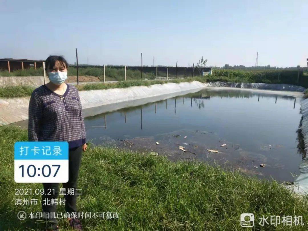 山东魏桥环保最新动态，绿色之旅寻找内心平静之路